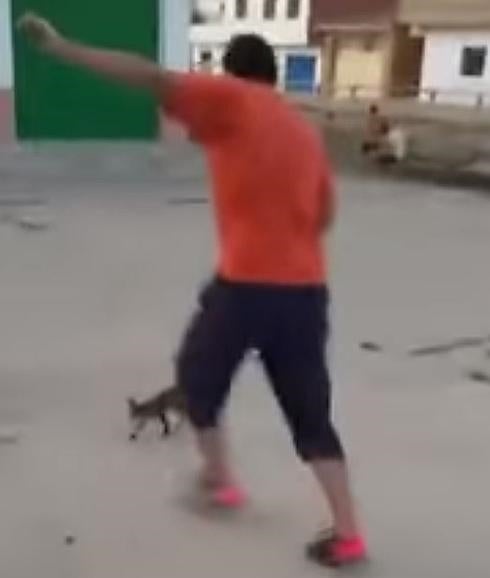 Identificados los tres menores que mataron a un gato a patadas y colgaron el vídeo en Internet