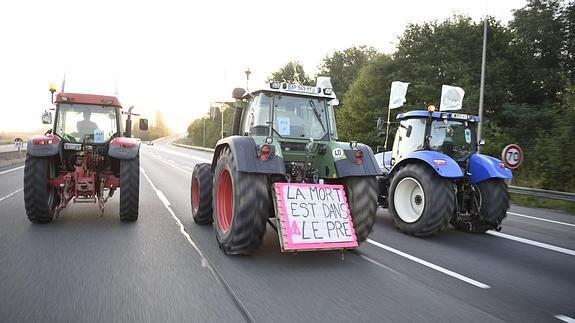 Cientos de tractores entran en París para protestar por la crisis del sector lácteo