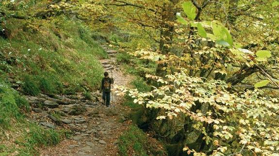 Un paraíso por descubrir en Galicia