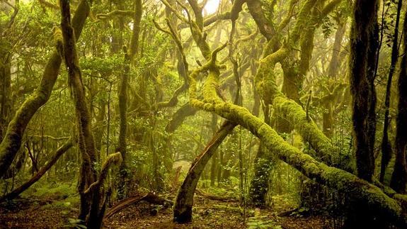 Los Parques Nacionales más impresionantes de España