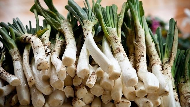 Calçots, descubre por fin qué son