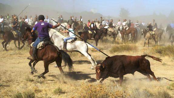 Tordesillas recurre la denegación del Toro de la Vega de este año