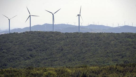 Estados Unidos, Canadá y México acuerdan elevar un 50% su producción de energías limpias