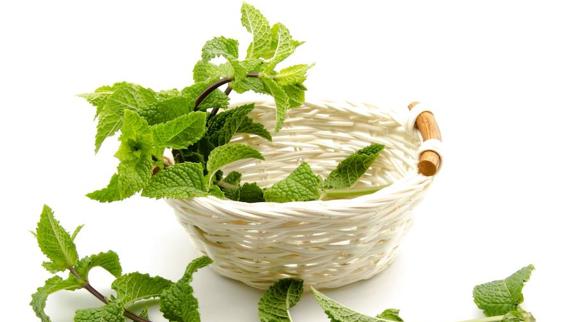 Remedios contra las digestiones pesadas