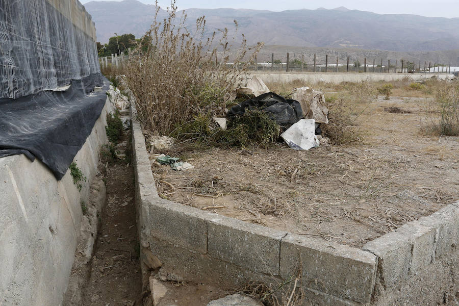 Los huesos hallados en El Ejido podrían ser de una mujer desaparecida en 2009