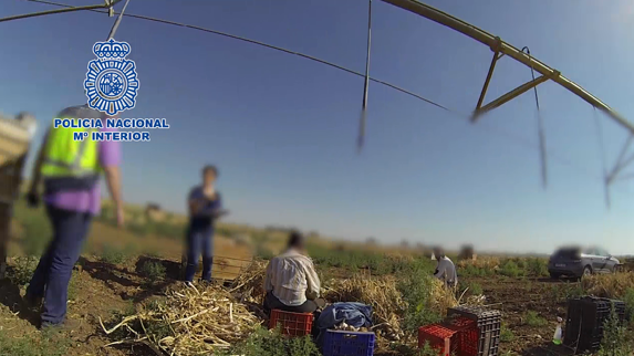 Cae un grupo que explotaba a ciudadanos búlgaros en fincas agrícolas de Albacete