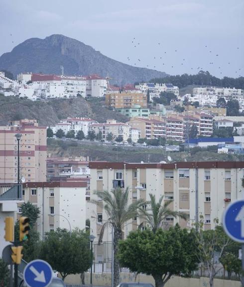 Retiran la custodia a los padres que consumían droga delante de su hija de dos años en Málaga