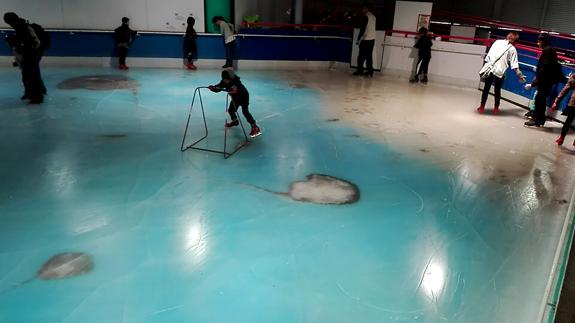 Indignación en Japón por una pista de patinaje con 5.000 peces atrapados bajo el hielo