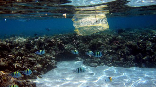 Hay un plástico cada cuatro metros en el Mediterráneo