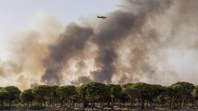 Tres focos continúan activos en el incendio de Doñana