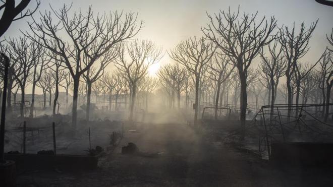 El fuego en el entorno de Doñana afecta a casi 8.500 hectáreas