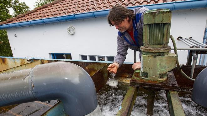 Selaya podrá consumir agua "en 2 ó 3 días" tras el vertido de estiércol