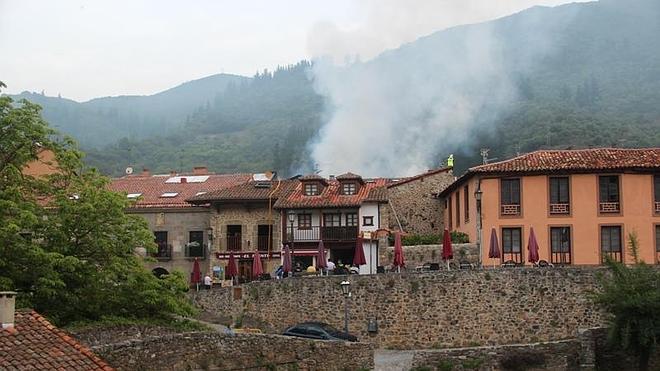 Desolación e impotencia