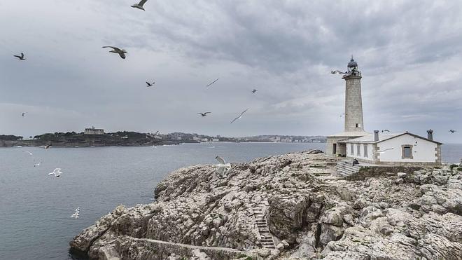 La isla de Mouro ya es oficialmente refugio de aves
