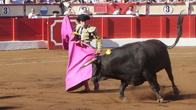 Una oreja para el novillero Fernando Rey y dos para José Luis Muñoz