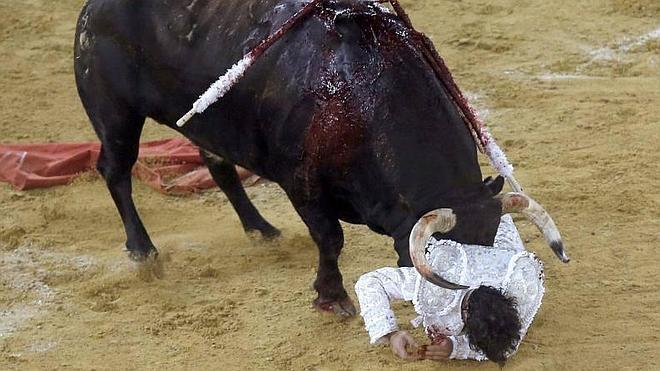 Abellán se cae del cartel de esta tarde por una cogida en Valencia