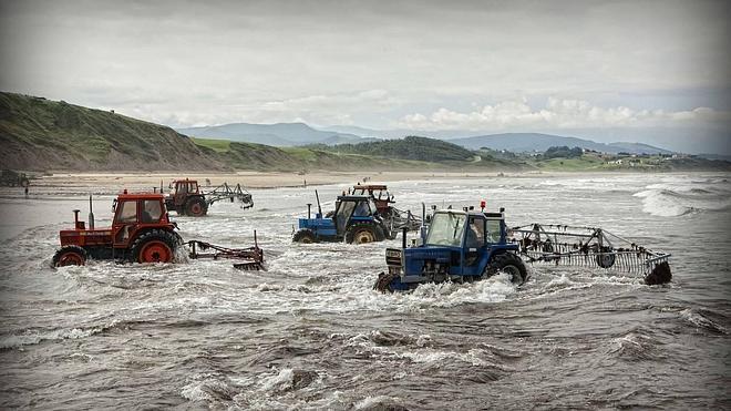 Colectivos de Cantabria denuncian los "graves" impactos de la extracción directa de algas