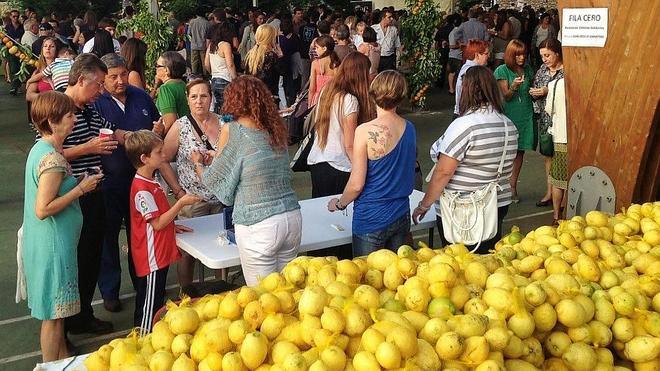 Vuelven los limones solidarios