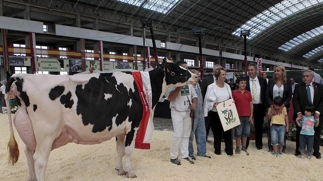 La ganadería Llera vuelve a ganar el concurso de raza frisona