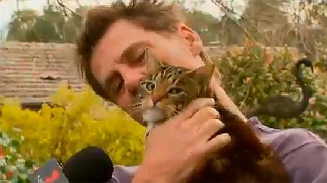 Una gata, la última heroína de Australia