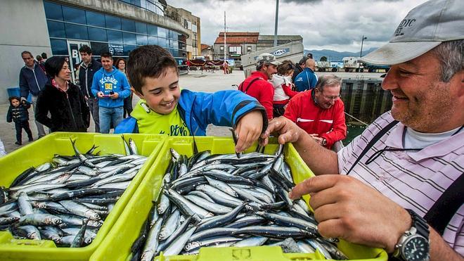 "Si seguimos así no vamos a tener anchoa para pescar en el año 2015"