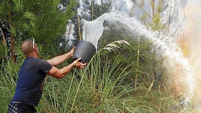 Montes investiga los incendios para detener a sus autores