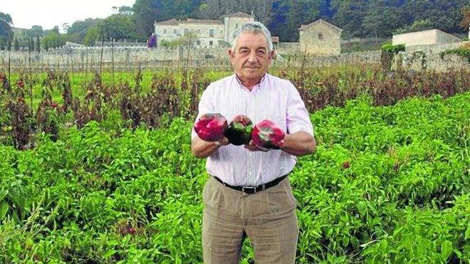 Tomates y pimientos de primera