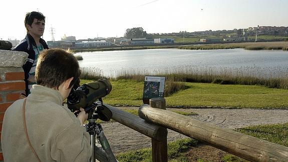 Actividades gratuitas por el Día Mundial de las Aves