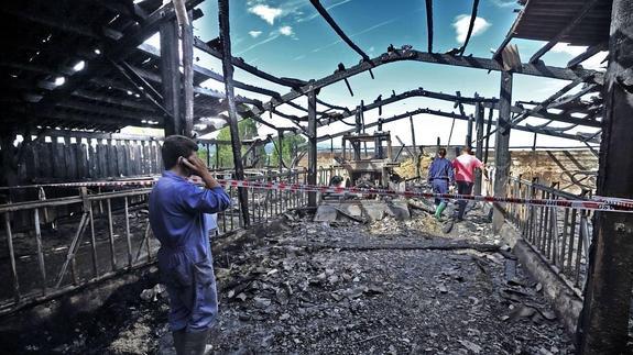 Gala solidaria para ayudar al vecino de El Tejo que perdió su ganado en un incendio