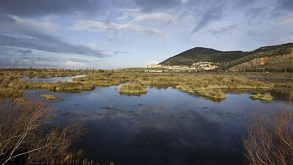 El Gobierno aprueba el proyecto de saneamiento de las Marismas de Santoña