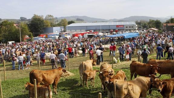 Cantabria acogerá en la primavera de 2015 el Concurso Nacional de Ganado Frisón