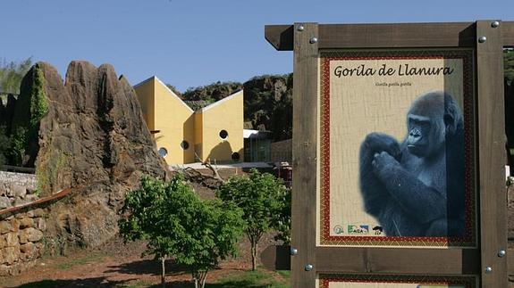 Abierto el plazo de comparecencias por la posible responsabilidad contable en la Casa de los Gorilas