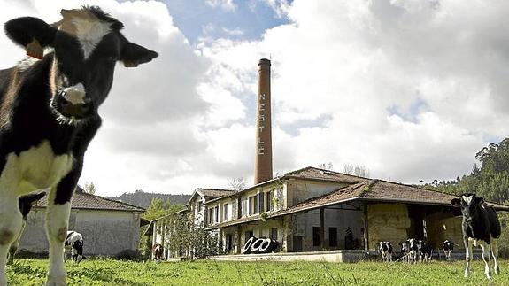 El abandono y los saqueos arruinan gran parte de la historia industrial de Cantabria