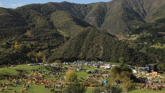 800 cabezas de ganado se reúnen en la feria de Lerones