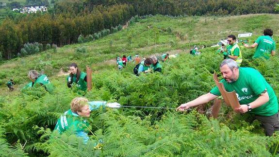 El medio ambiente 'provoca' a más de mil voluntarios
