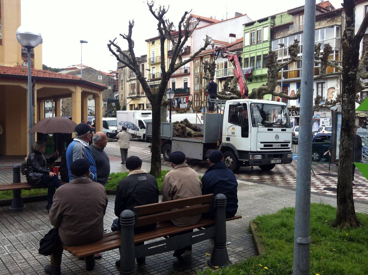 Laredo pone en marcha la recogida de restos de poda y siega