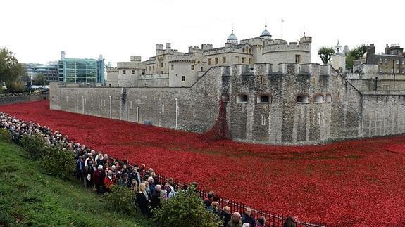 Invasión de amapolas en la Torre de Londres