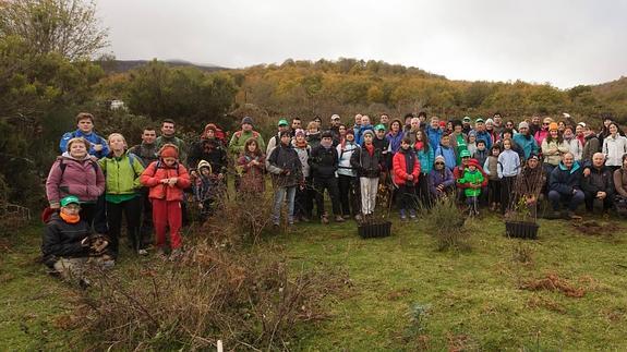 Voluntarios plantan árboles en Campoo para mejorar el hábitat del oso pardo