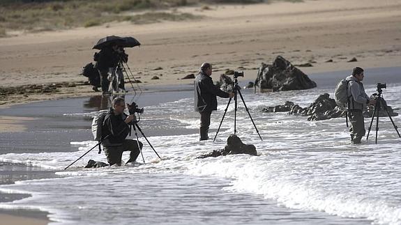 Naturaleza a través del objetivo