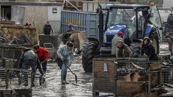 El Gobierno busca mecanismos financieros para "anticipar" las indemnizaciones por las inundaciones
