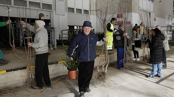 Torrelavega reparte 2.900 árboles autóctonos