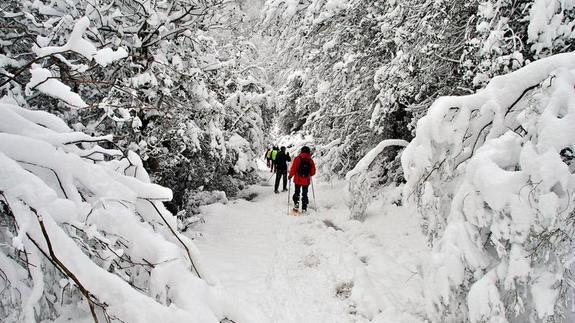 Naturea Cantabria realizará 717 rutas guiadas por 146 senderos