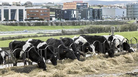 El Santander rural languidece