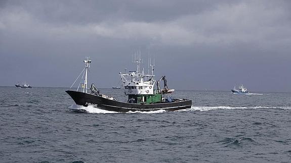 Los pescadores de Santoña capturan 400 toneladas de verdel y 46 de bocarte
