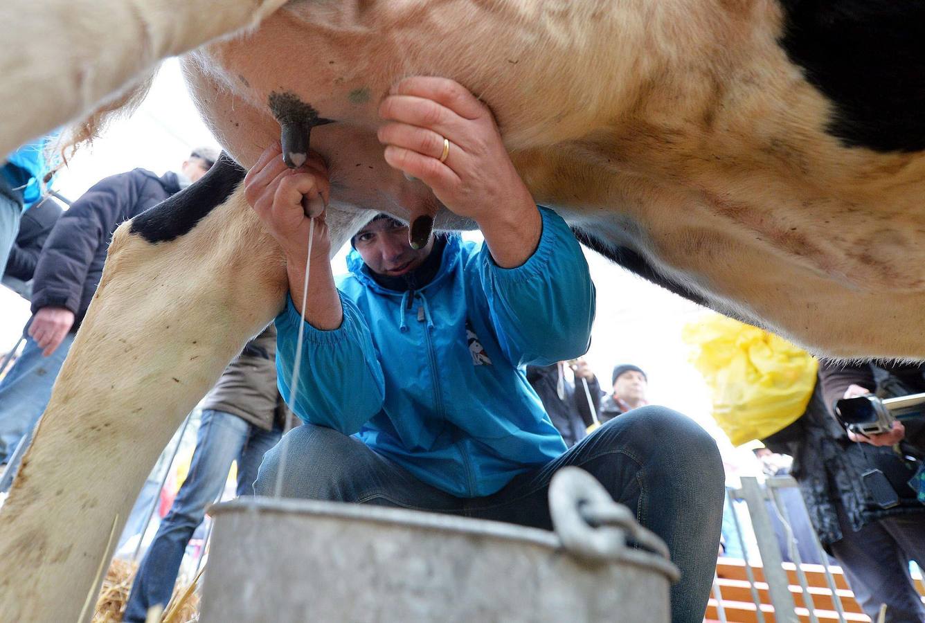 El cártel de la leche ganó más de 800 millones con sus abusos