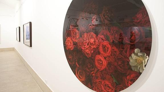 La muestra 'El claro en el bosque' llega a La Vidriera