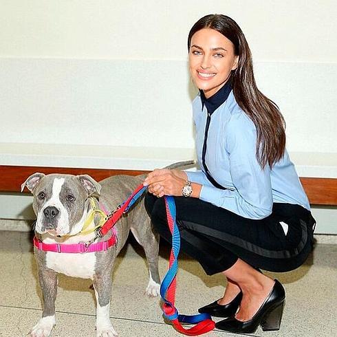 Irina Shayk busca hogar para los perros abandonados