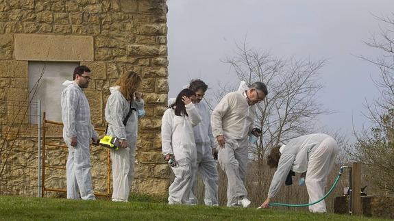 El Ministerio responderá a la Unesco sobre las críticas por Altamira