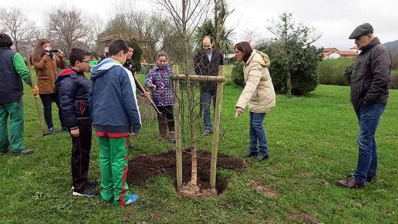 Los escolares plantan ocho abedules en el bulevar Ronda