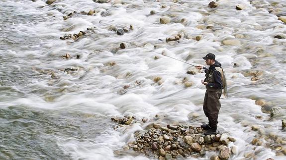 "La trucha es la reina del río"